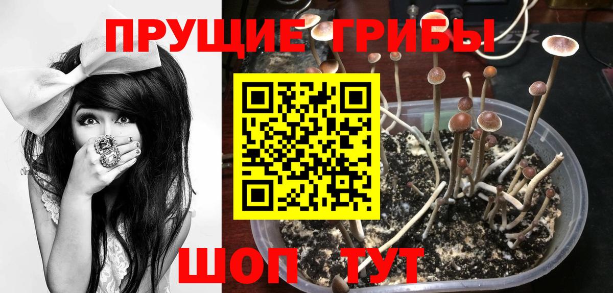 Ипатово  Псилоцибиновые грибы ЛСД  Вход с VPN  Псилоцибиновые грибы мухоморы 