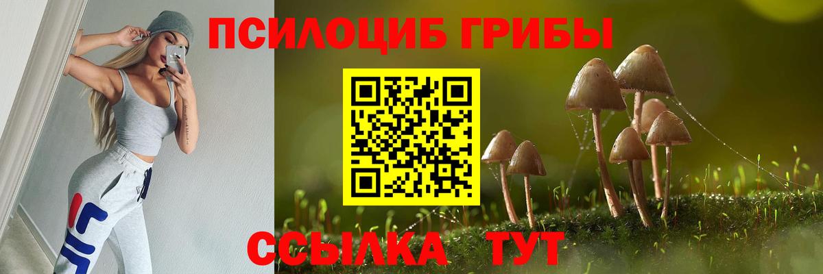Псилоцибиновые грибы Psilocybe Ипатово